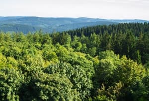 Wijk Waldeck-Frankenberg