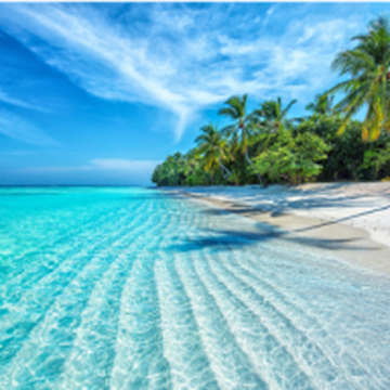 Strandvakantie - 13.613 Appartementen & Vakantiehuizen