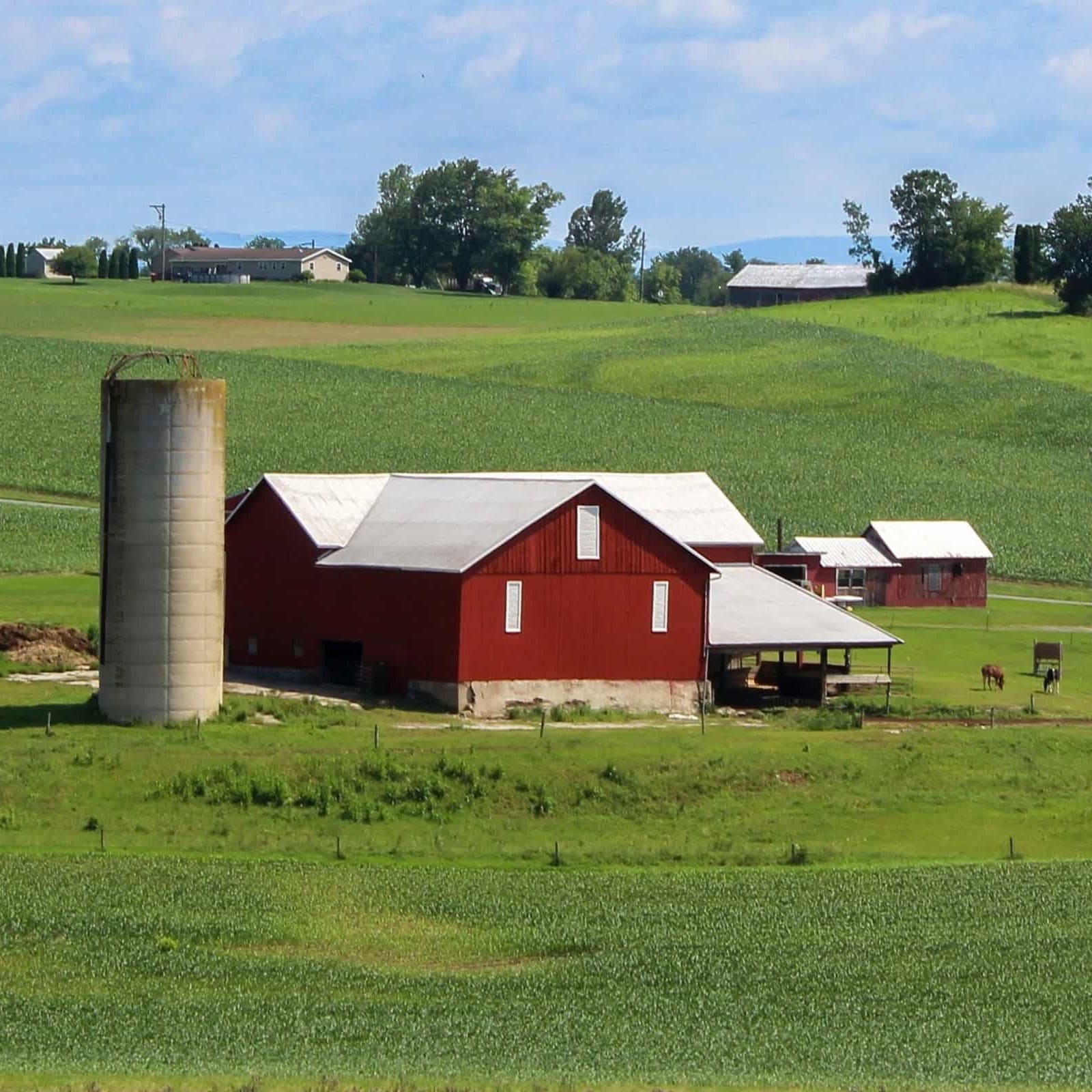 Boerderij