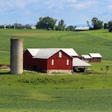 Boerderij