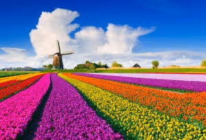Nederland